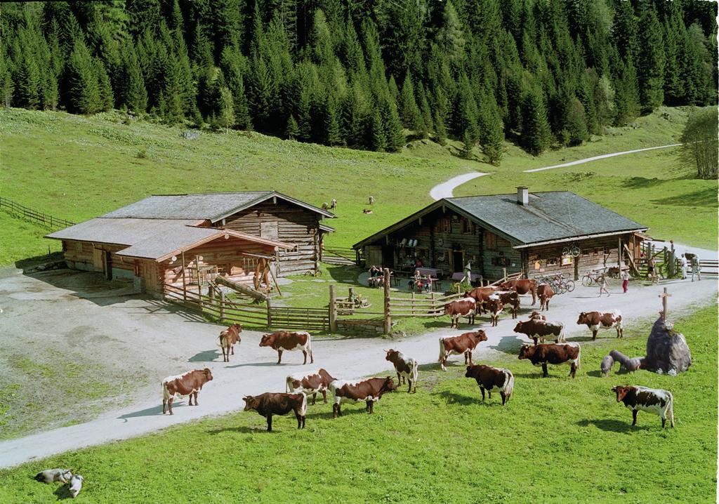 Palfnerhof Appartements Sankt Johann im Pongau Exterior foto