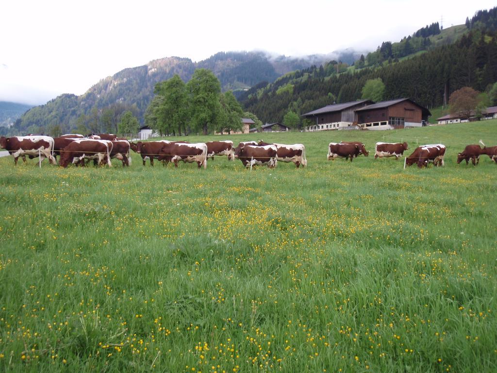 Palfnerhof Appartements Sankt Johann im Pongau Exterior foto