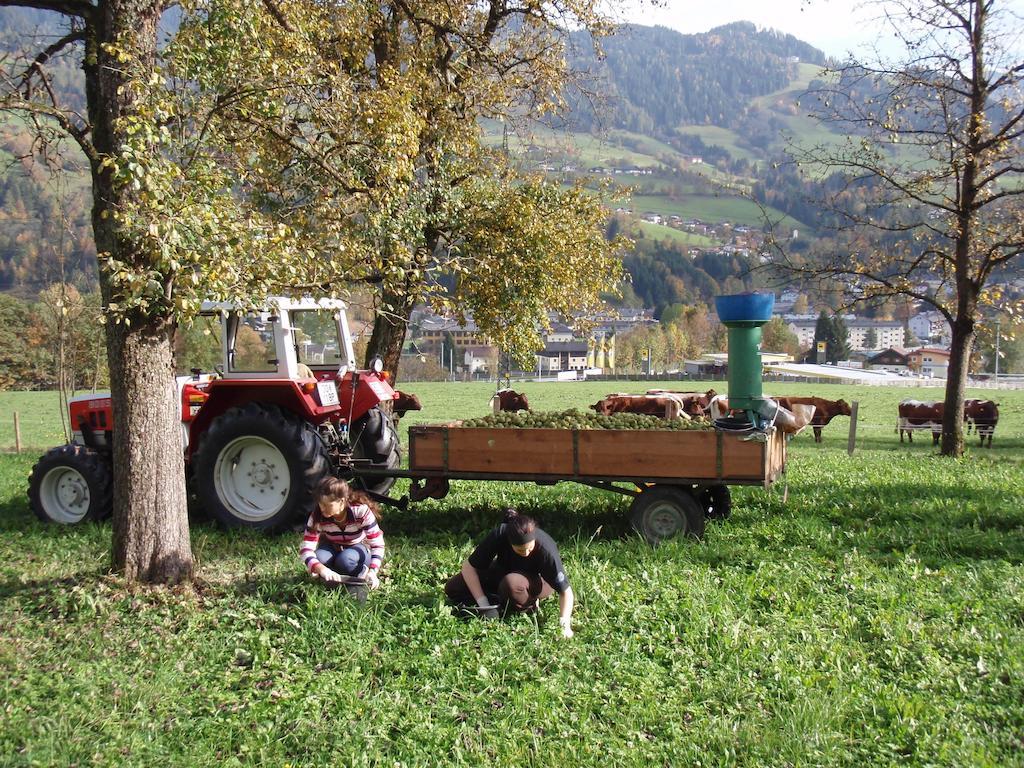 Palfnerhof Appartements Sankt Johann im Pongau Exterior foto
